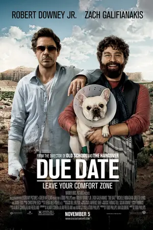Poster for Due Date