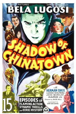 Poster for Shadow of Chinatown