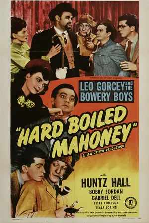 Poster for Hard Boiled Mahoney