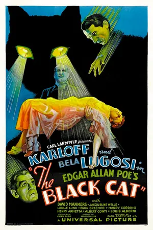 Poster for The Black Cat