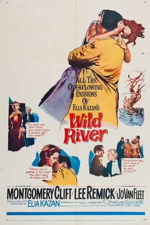 Poster for Wild River