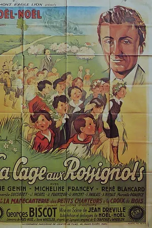 Poster for A Cage of Nightingales