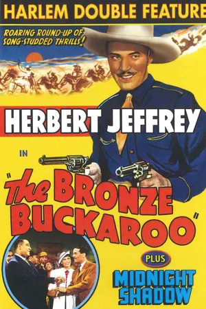 Poster for The Bronze Buckaroo