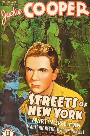 Poster for The Streets of New York