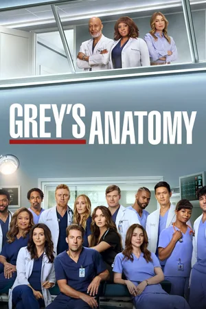 Poster for Grey's Anatomy