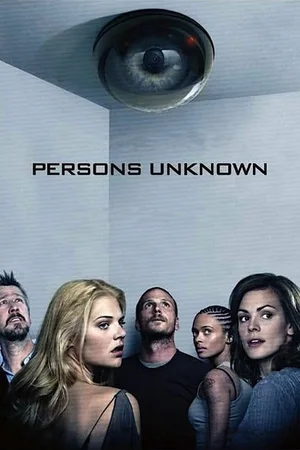 Persons Unknown 2010–2010 series poster