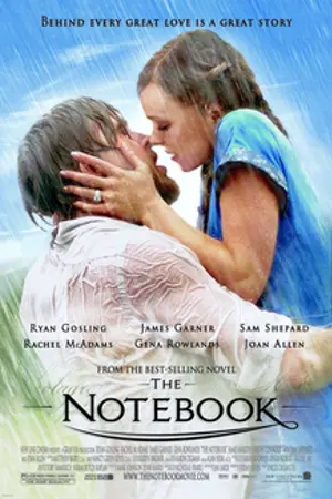 Poster for The Notebook