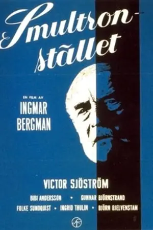 Poster for Wild Strawberries